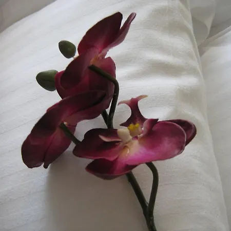 Yonge Suites Furnished Apartments